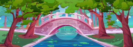 Summer park landscape with bridge over pond, floating water lily leaves, grass and trees with green foliage. Forest or sunny garden with stone bridge and river or canal, vector cartoon illustration