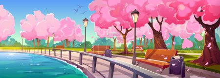 Téléchargez les illustrations : Riverside park with sakura trees blooming along promenade. Vector cartoon illustration of sunny day in spring public garden, cherry blossom with pink flowers, petals in air, empty benches near water - en licence libre de droit