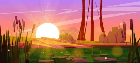Green swamp and cattail near lake, sunset vector background. Pond in bush, bulrush in park. Dirty water in river cartoon illustration for fantasy game. Wild nature landscape with shining water surface
