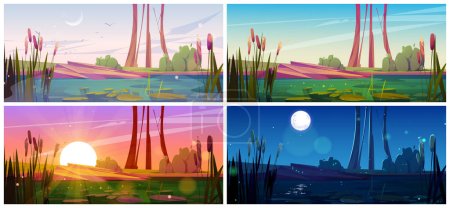 Swamp and cattail near lake, night, morning or sunset vector background. Pond with bulrush in park. Shining water surface in river fantasy cartoon illustration. Wild nature landscape with flying birds