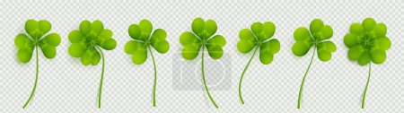 Illustration for Realistic 3D clover leaves set isolated on transparent background. Vector illustration of green trifoils, decorative plant. Symbol of good luck, chance to success. Saint Patrick Day icons png - Royalty Free Image