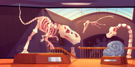 Ilustración de Fossil tyrannosaurus dinosaurio esqueleto en museo de dibujos animados vector exposición antigua. Sala interior de arqueología con pedestal y hueso de pterodáctilo volador en galería cerca de ventana. Descubrimiento animal prehistoria - Imagen libre de derechos