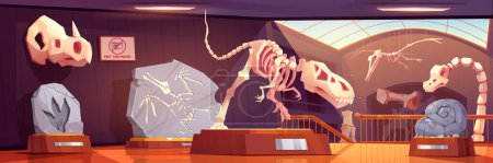 Ilustración de Esqueletos fósiles de dinosaurios en el museo de historia, arqueología y paleontología. Interior del museo prehistórico con exhibiciones de huesos de animales antiguos y huella de dino, ilustración de dibujos animados vectoriales - Imagen libre de derechos