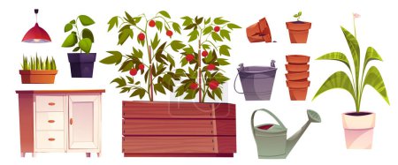 Meubles et plantes de serre isolés sur fond blanc. Illustration vectorielle de tomates poussant dans une boîte en bois, herbe verte en pot de fleurs, pile de pots en argile, seau en métal, arrosoir