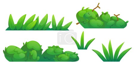 Téléchargez les illustrations : Herbe verte et buissons isolés sur fond blanc. Illustration vectorielle de bordure de pelouse, jardin, champ, forêt, végétation du parc au feuillage luxuriant, herbes biologiques, éléments de design floral - en licence libre de droit