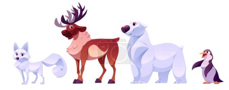 Illustration for North pole animals. Cartoon vector illustration set of cute toon arctic wild life characters - white fox, brown reindeer with big antlers, polar bear and penguin. Alaska winter mammal and bird. - Royalty Free Image