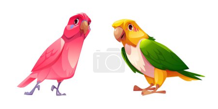 Loro con plumas de colores brillantes. Dibujos animados vector ilustración conjunto de lindas aves tropicales de pie. Selva exótica de color rosa, amarillo y verde pajarito con pico y alas. Mascota animal alegre salvaje.