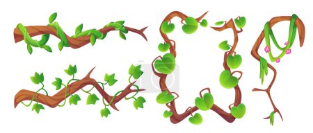 Long liana vine and rectangular frame with green leaves and flowers. Jungle plant branches for game ui design. Cartoon vector illustration set of rainforest ivy creeper. Vegetation twig with foliage.
