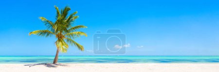 Photo for Panorama banner photo of idyllic tropical beach with palm tree - Royalty Free Image