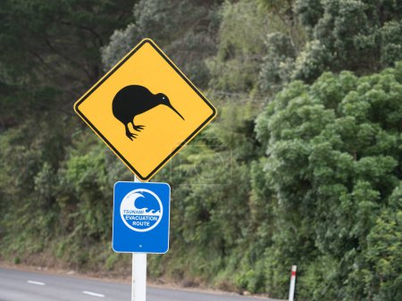 Photo for Two road sides on a New Zealand road.One warns to look out for kiwi's with a silhouetted bird symbol. The other states a tsunami evacuation route - Royalty Free Image