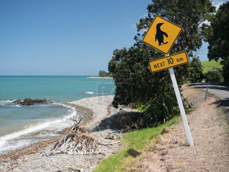 Photo for A road side sign with a symbol of a penguin warns drivers to be aware penguins may be crossing.Ocean and beach in background.New Zealand - Royalty Free Image