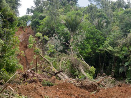 A huge section of forest trees and soil has fallen in a landslide on a steep bank caused by heavy rainfall.Top left a house can be seen on the edge of the fall.Extreme weather.