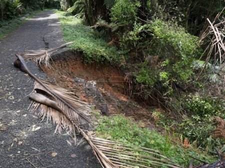Une grande partie du sentier piéton s'est effondrée en raison des conditions météorologiques extrêmes et des fortes pluies. On peut voir que les arbres et le sol se sont déplacés avec l'asphalte