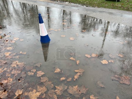 A blue and white traffic cone in a flooded pool of water with fallen leaves on a road warns of the hazard to traffic.