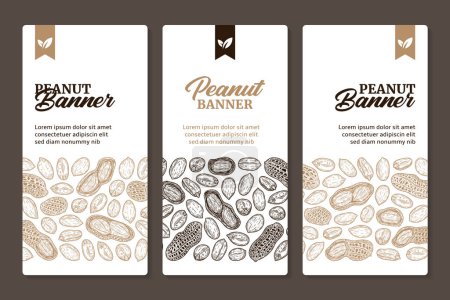 Illustration for Peanut vertical banner design concept with hand-drawn peanut seeds and shells illustrations - Royalty Free Image