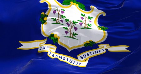 Foto de Vista de cerca de la bandera del estado de Connecticut ondeando en el viento. Fondo texturizado de tela. Estado federal de Estados Unidos. Ilustración 3D realista - Imagen libre de derechos
