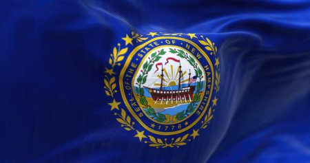 Foto de Detail of New Hampshire state flag waving. New Hampshire is a state in the New England region of United States. US state flag. Rippled fabric. Textured background. Realistic 3d illustration. Close-up - Imagen libre de derechos
