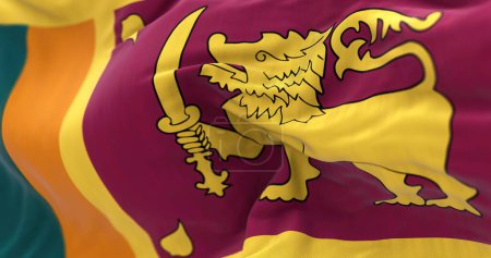 Téléchargez les photos : Détail du drapeau national du Sri Lanka agitant. Rayures vertes et orange, panneau d'amarante avec lion jaune, épée, & Feuilles Ficus religiosa.. Tissu fond texturé. Concentration sélective. Illustration 3D - en image libre de droit