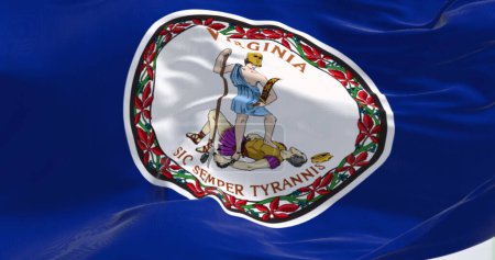 Téléchargez les photos : Gros plan du drapeau de l'État de Virginie agitant le vent. Champ bleu avec un blason blanc au centre. Illustration 3D rendu. Tissu flottant - en image libre de droit