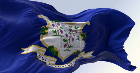 Foto de Vista de cerca de la bandera del estado de Connecticut ondeando. Escudo blanco sobre fondo azul con tres viñas cada una con racimos de uvas. Fondo texturizado. Ilustración 3d render - Imagen libre de derechos