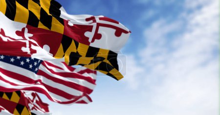 Flaggen von Maryland und den Vereinigten Staaten wehen an einem klaren Tag im Wind. Patriotisches und symbolisches Bild. 3D Illustration rendern. Selektiver Fokus