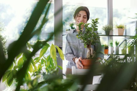 Foto de Mujer joven sosteniendo una planta de bonsái, jardinería y concepto de horticultura - Imagen libre de derechos