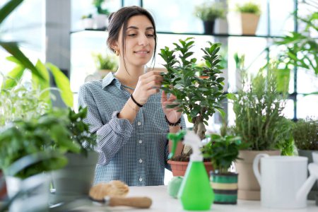 Téléchargez les photos : Jeune femme jardinage à la maison, elle prend soin d'une plante de bonsaï, hobby et concept d'horticulture - en image libre de droit