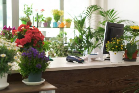 Photo for Florist shop counter and interior with beautiful flowering plants, small business concept - Royalty Free Image