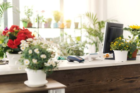 Téléchargez les photos : Comptoir fleuriste et intérieur avec de belles plantes à fleurs, concept de petite entreprise - en image libre de droit