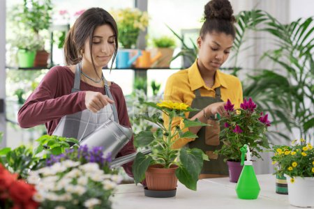 Téléchargez les photos : Jeunes fleuristes féminines travaillant ensemble à la boutique de fleurs, concept de petite entreprise et entrepreneuriat - en image libre de droit