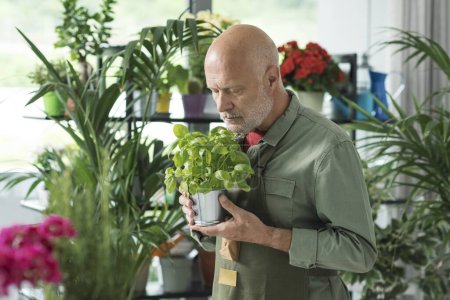 Téléchargez les photos : Jardinier et fleuriste professionnel prenant soin des plantes dans sa boutique de fleurs - en image libre de droit