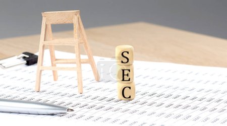 wooden cubes with the word SEC stand on a financial background, business