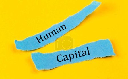 Photo for HUMAN CAPITAL text on blue pieces of paper on yellow background, business concept - Royalty Free Image