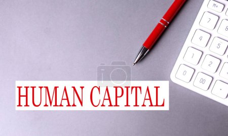 Photo for HUMAN CAPITAL text written on gray background with pen and calculator - Royalty Free Image
