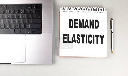 DEMAND ELASTICITY text on a notebook with laptop and pen