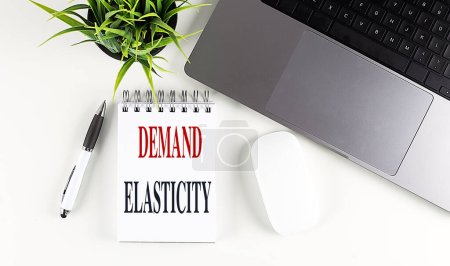 DEMAND ELASTICITY text on a notebook with laptop, mouse and pen . 