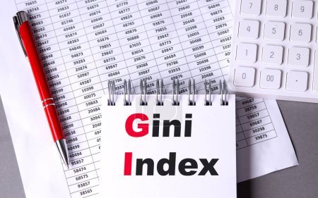 GINI INDEX texte sur un carnet avec graphique, stylo et calculatrice. 