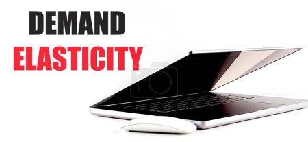 DEMAND ELASTICITY text on a white background with laptop and mouse . 
