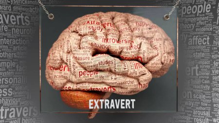 Photo for Extravert in human brain - dozens of important terms describing Extravert properties and features painted over the brain cortex to symbolize Extravert connection with the mind. - Royalty Free Image