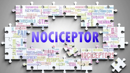 Nozizeptor als komplexes Thema, das mit wichtigen Themen zusammenhängt. Abgebildet als Puzzle und Wortwolke aus den wichtigsten Ideen und Phrasen im Zusammenhang mit Nozizeptor.