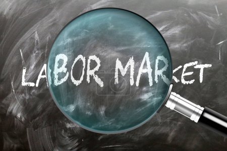 Labor Market - learn, study and inspect it. Taking a closer look at labor market. A magnifying glass enlarging word 'labor market' written on a blackboard