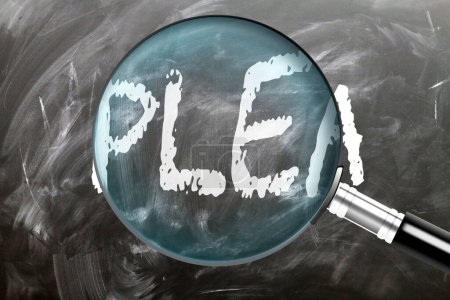 Plea - learn, study and inspect it. Taking a closer look at plea. A magnifying glass enlarging word 'plea' written on a blackboard