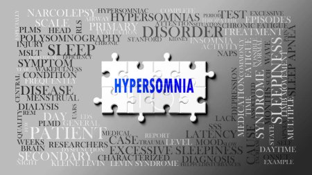 Hypersomnia as a complex subject, related to important topics. Pictured as a puzzle and a word cloud made of most important ideas and phrases related to hypersomnia. ,3d illustration