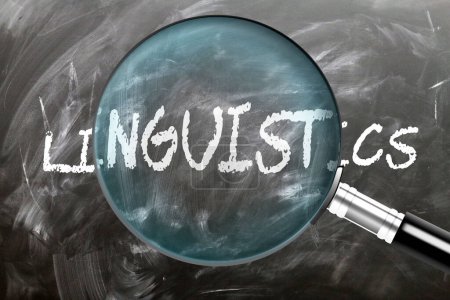 Linguistics - learn, study and inspect it. Taking a closer look at linguistics. A magnifying glass enlarging word 'linguistics' written on a blackboard