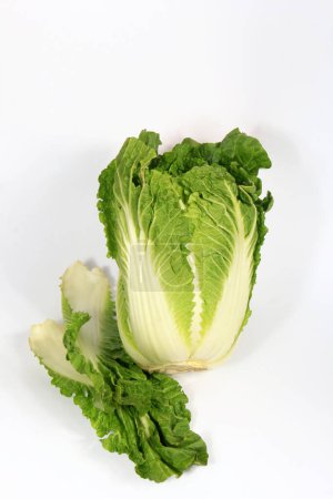 Photo for Fresh whole chinese cabbage isolated on a white background. Napa cabbage - Royalty Free Image