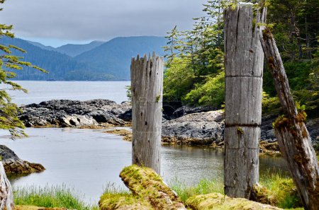 Photo for Historic Totem Poles, Sgang Gwaay, Ninstints, Haida Gwaii, BC, Canada - Royalty Free Image