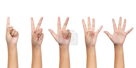 Téléchargez les photos : Petit enfant montrant un à cinq doigts compter les signes isolés sur fond blanc avec le chemin de coupe inclus. Concept de gestes de communication - en image libre de droit