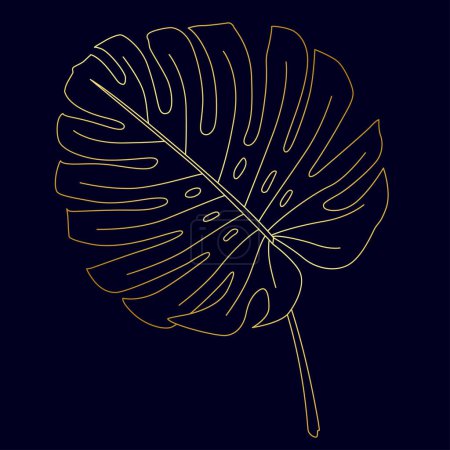 Illustration for Foliage drawing of golden monstera plant leaf. Vector tropical leaves - Royalty Free Image