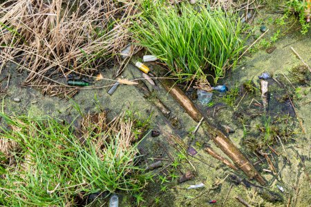 Verschmutztes Teichwasser mit verstreutem Abfall zwischen grünem Gras und abgestorbenem Schilf, einschließlich Flaschen, Plastik und sonstigem Unrat