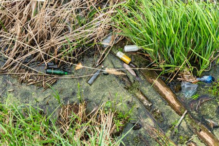 Polluted pond water with scattered litter among green grass and dead reeds, including bottles, plastic, and miscellaneous debris close-up